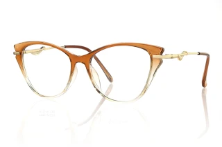 brown Eyeglasses