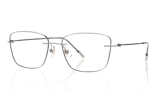 silver Eyeglasses