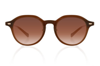 brown Eyeglasses