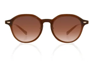 brown Eyeglasses