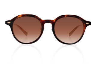 tortoiseshell Eyeglasses