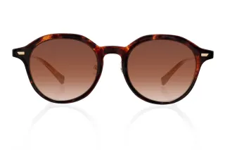 tortoiseshell Eyeglasses