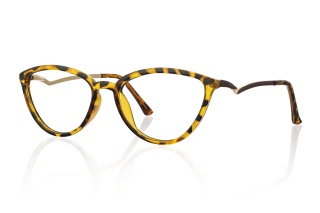 tortoiseshell Eyeglasses