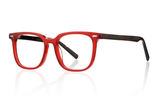 red Eyeglasses