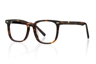tortoiseshell Eyeglasses