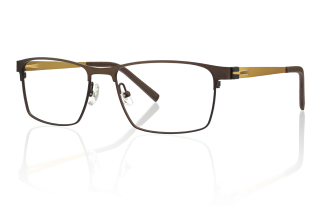 gold Eyeglasses