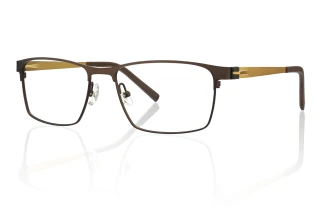 gold Eyeglasses