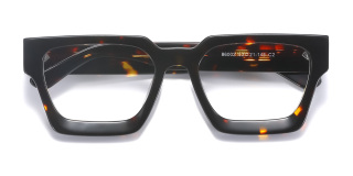 tortoiseshell Eyeglasses