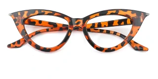 tortoiseshell Eyeglasses