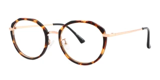 Tortoiseshell Eyeglasses 70481D