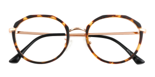 tortoiseshell Eyeglasses