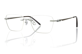 silver Eyeglasses