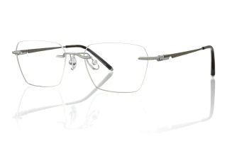 silver Eyeglasses