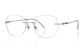 silver Eyeglasses