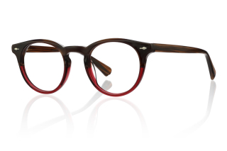 brown Eyeglasses