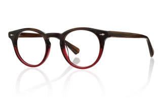 brown Eyeglasses