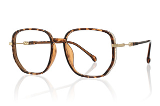 tortoiseshell Eyeglasses
