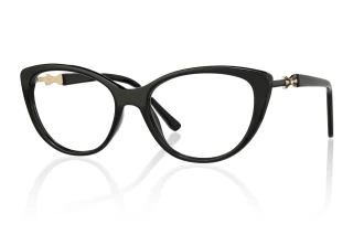 black Eyeglasses