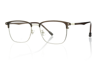 brown_silver Eyeglasses