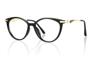 black Eyeglasses