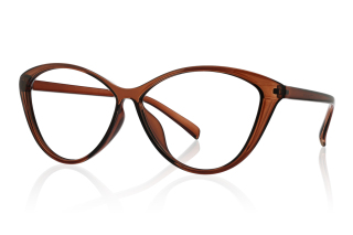 brown Eyeglasses