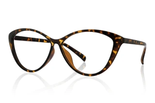 tortoiseshell Eyeglasses