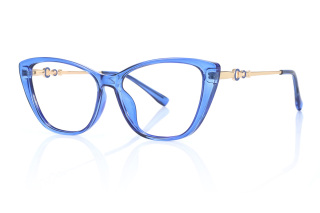 blue Eyeglasses