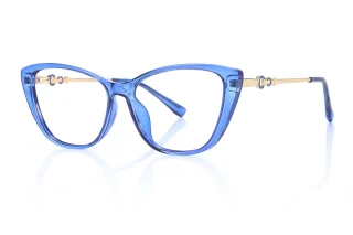 blue Eyeglasses