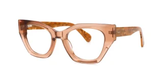 Brown Eyeglasses 79198C