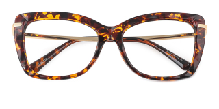 tortoiseshell Eyeglasses