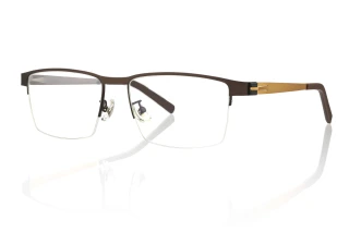 gold Eyeglasses