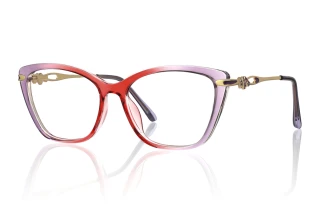 purple Eyeglasses