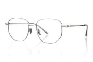 silver Eyeglasses