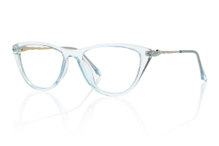 blue Eyeglasses