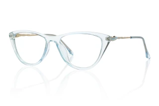 blue Eyeglasses