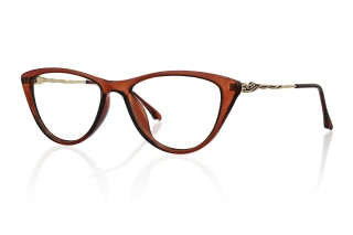 brown Eyeglasses
