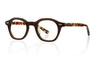 brown Eyeglasses