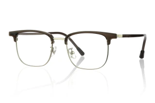 Brown_silver Eyeglasses 86119D