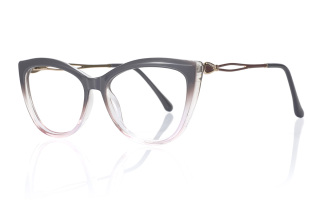 other Eyeglasses