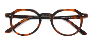 tortoiseshell Eyeglasses