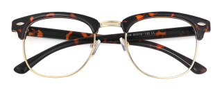tortoiseshell Eyeglasses
