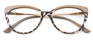 tortoiseshell Eyeglasses