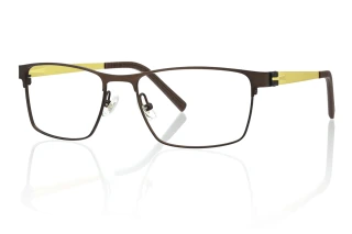 gold Eyeglasses
