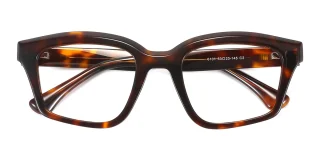 tortoiseshell Eyeglasses