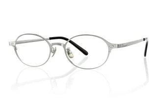 silver Eyeglasses