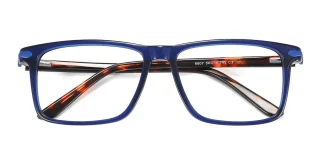 blue Eyeglasses