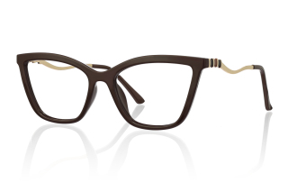 brown Eyeglasses