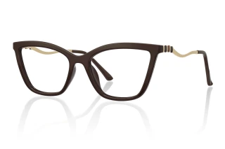 brown Eyeglasses