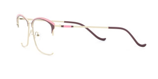 brown Eyeglasses