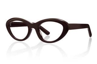 brown Eyeglasses